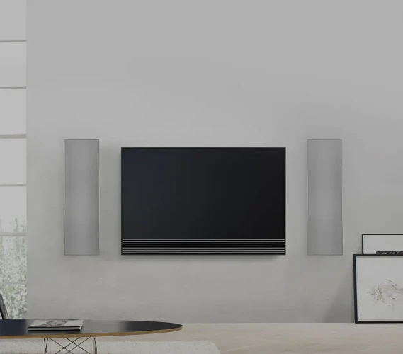 Origin Acoustics & Bang & Olufsen BOPLCR66