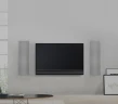 Origin Acoustics & Bang & Olufsen BOPLCR66