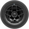 Origin Acoustics D61